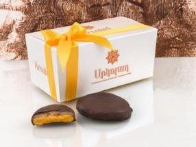 Chocolate coated dried fruits