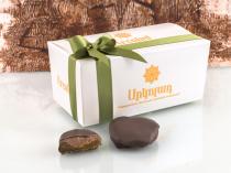 Շոկոլադապատ ծիրանաչիր կաթնային ջանդույայով, 200 գ